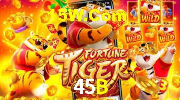 45B Com Plataforma Login